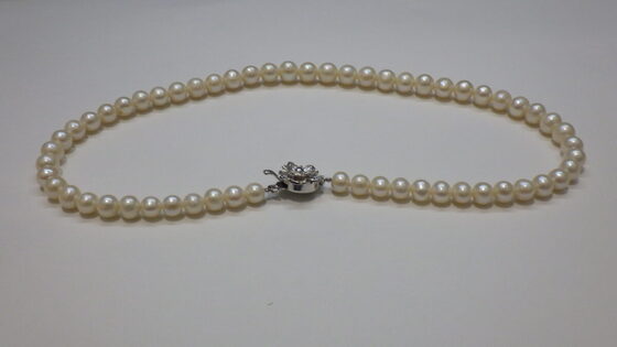 お知らせの画像