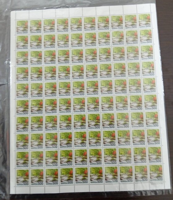 お知らせの画像