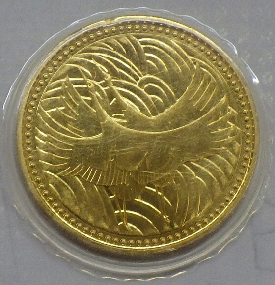 お知らせの画像